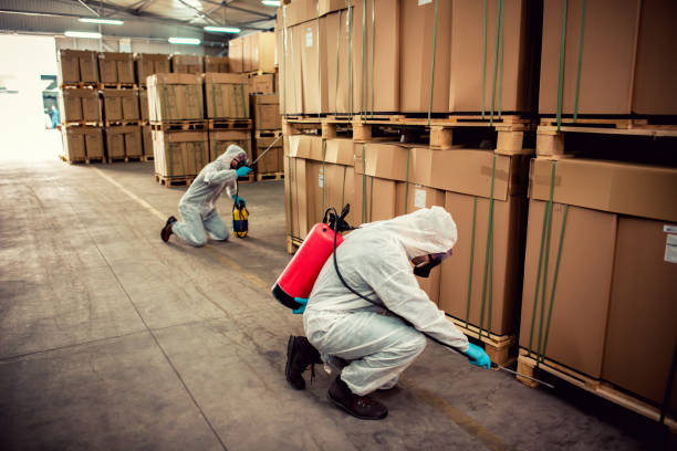 Best Pest Removal Services  in North Bend, WA