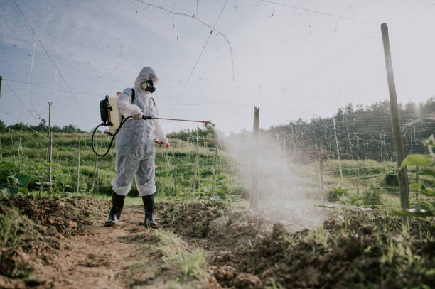 Best Pest Removal Services  in North Bend, WA