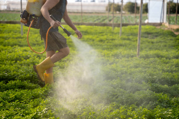 Best Best Pest Control Companies  in North Bend, WA