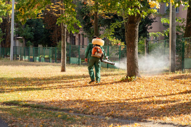 Best Bird Control  in North Bend, WA