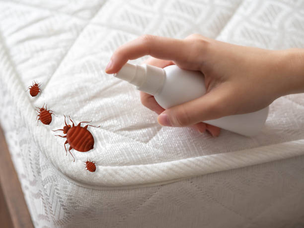 Best Pest Prevention Services  in North Bend, WA