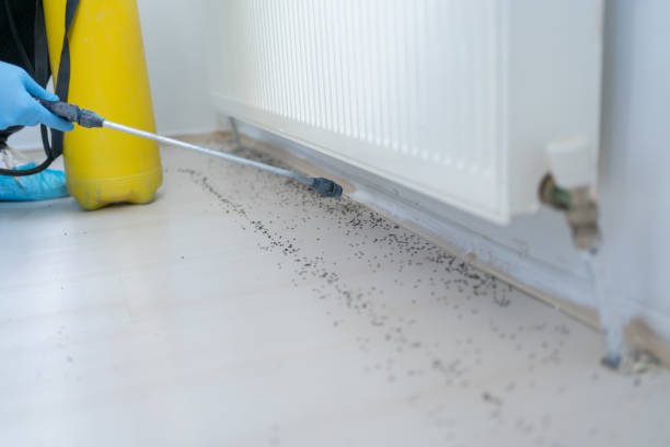 Best Rat Extermination Near Me  in North Bend, WA