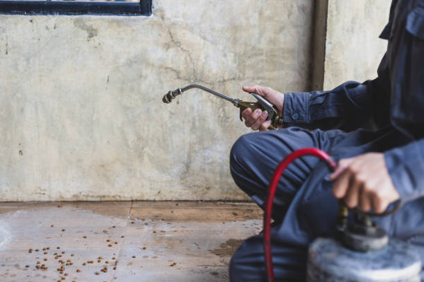 Best Wasp Removal Services  in North Bend, WA