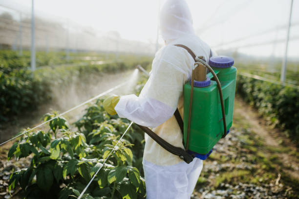 Best Flea Control Services  in North Bend, WA